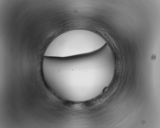 X0000102820505200808181028
