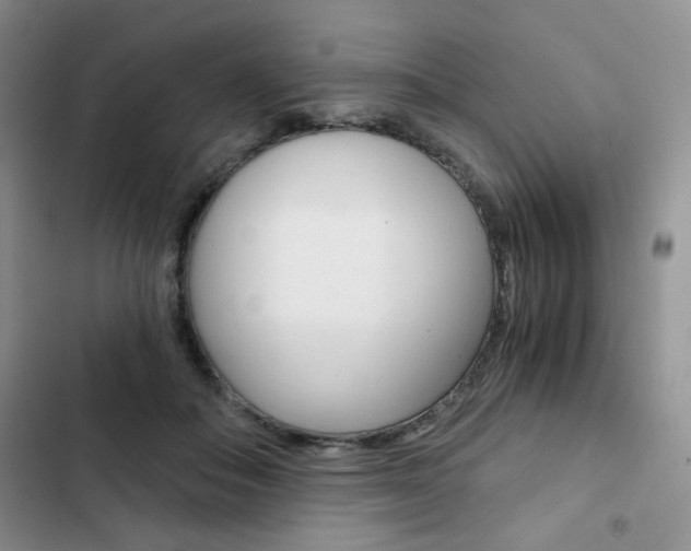 X0000102820506200808181028