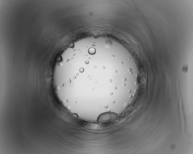 X0000102820507200808181028