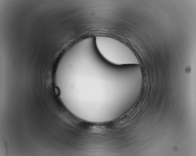 X0000102820508200808181028