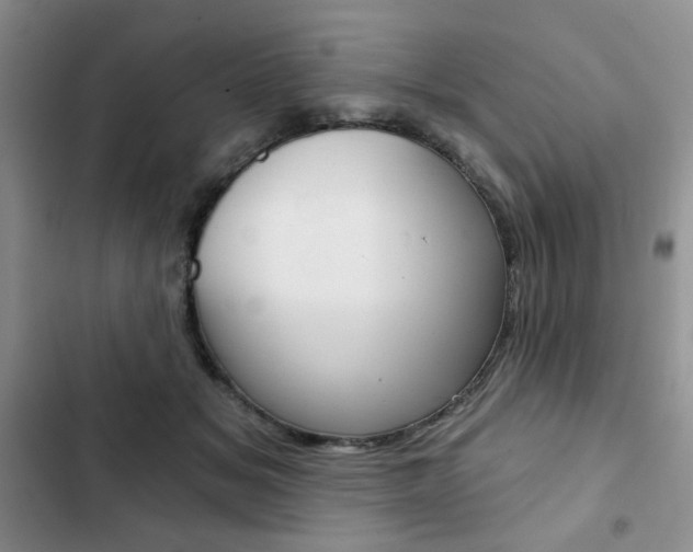 X0000102820509200808181028