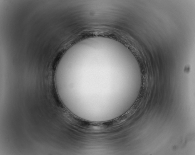 X0000102820510200808181028