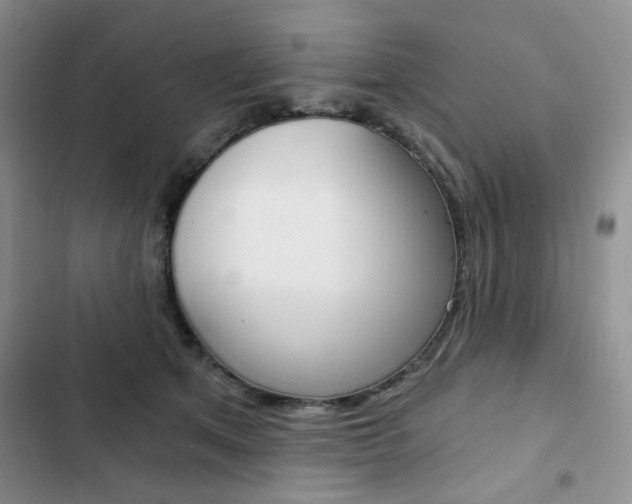 X0000102820513200808181028