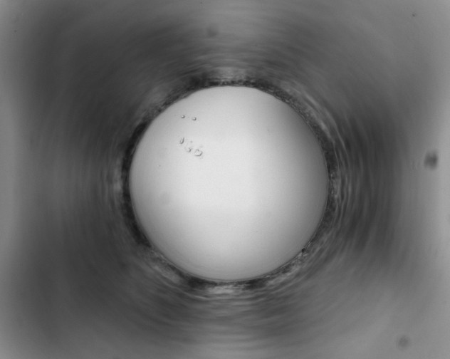 X0000102820516200808181028