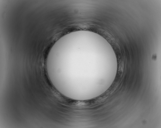 X0000102820518200808181028