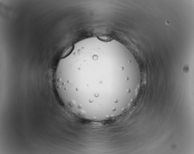 X0000102820519200808181028
