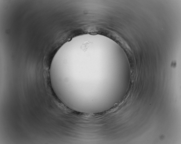 X0000102820521200808181028
