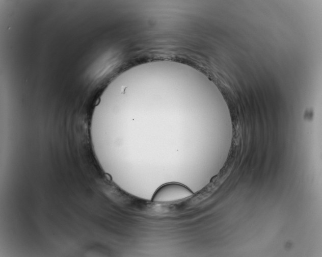 X0000102820522200808181028