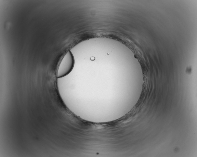 X0000102820523200808181028