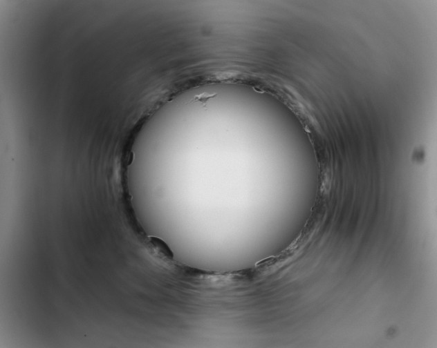 X0000102820524200808181028