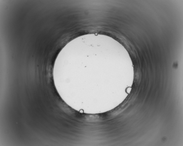 X0000102820525200808181028