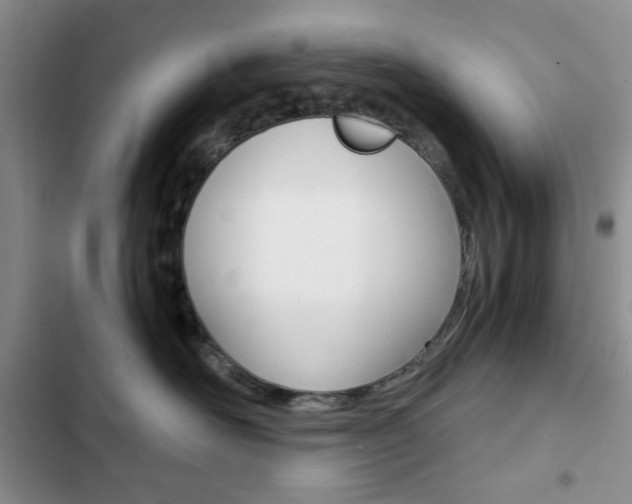 X0000102820526200808181028