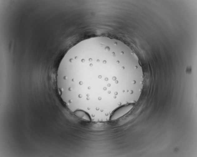 X0000102820527200808181028