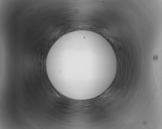 X0000102820528200808181028