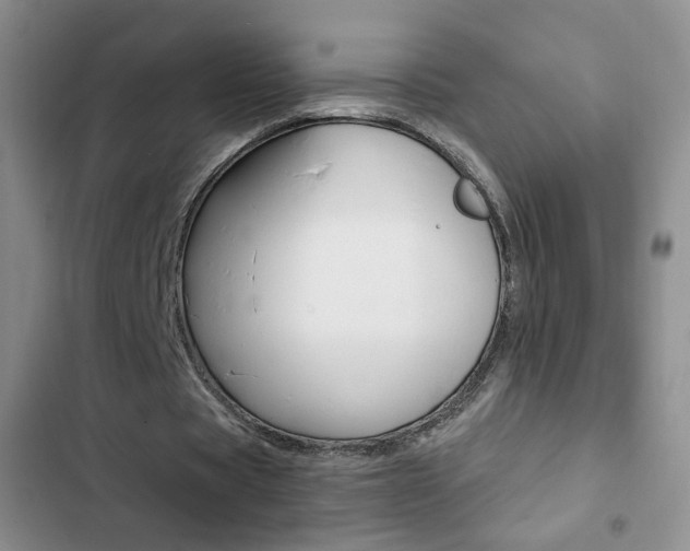 X0000102820529200808181027