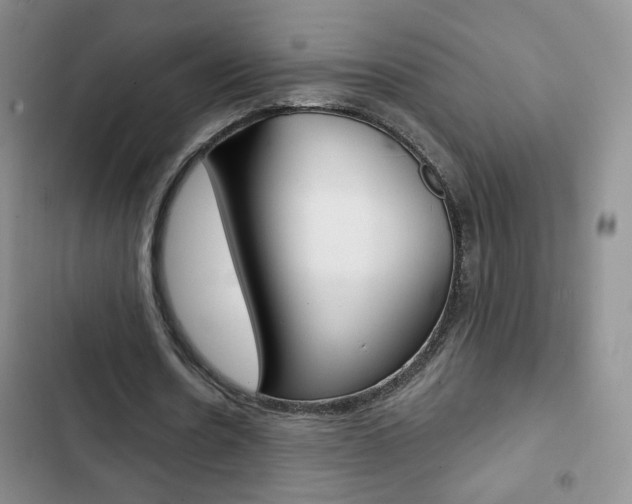 X0000102820530200808181027