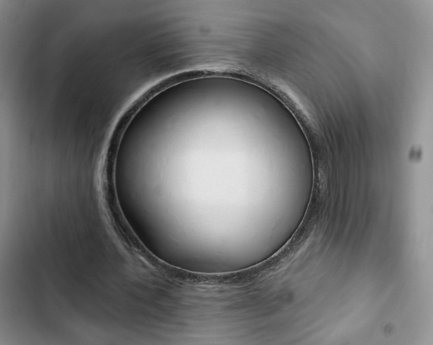 X0000102820532200808181027