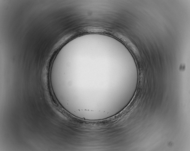 X0000102820533200808181027