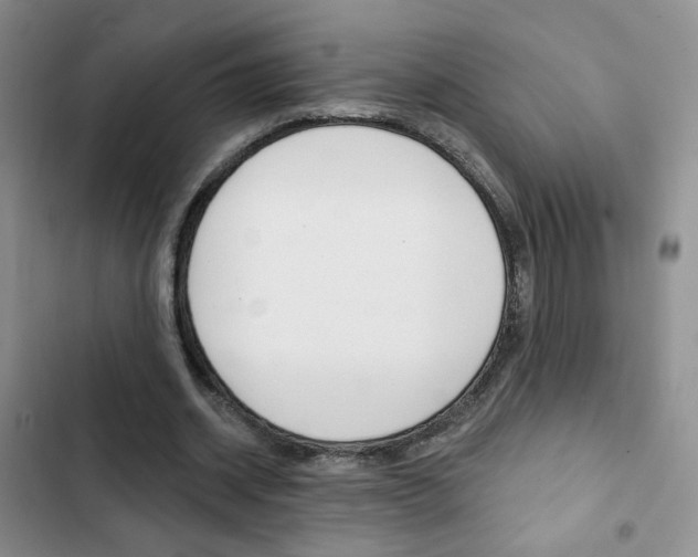 X0000102820534200808181027