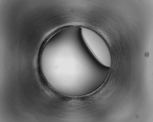 X0000102820536200808181027