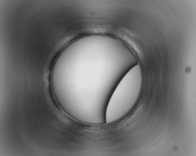 X0000102820537200808181027