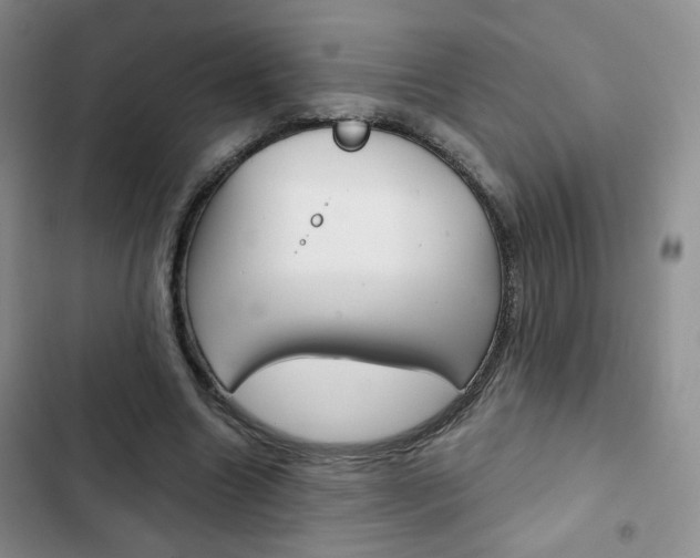 X0000102820538200808181027