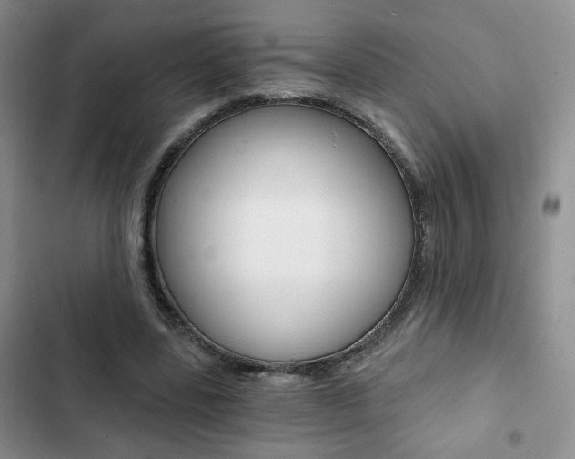 X0000102820539200808181027