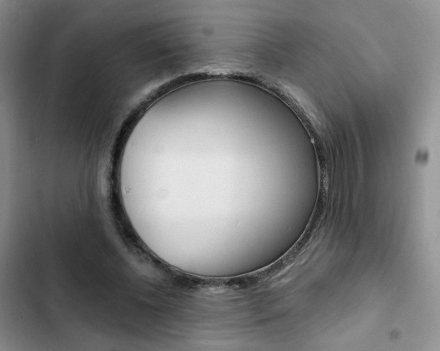 X0000102820540200808181027