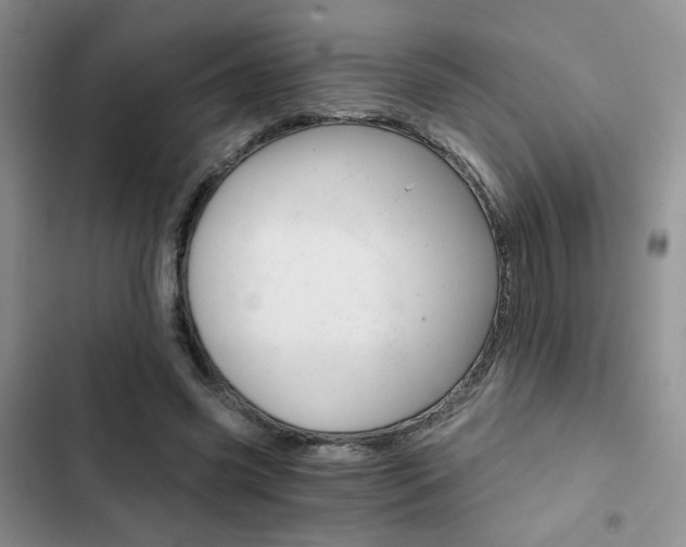 X0000102820541200808181027