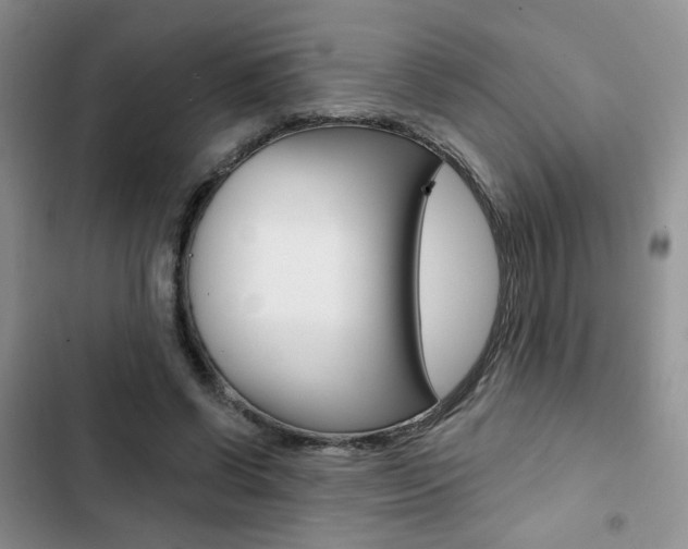 X0000102820542200808181027