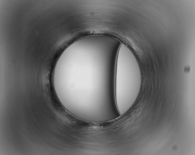 X0000102820543200808181027