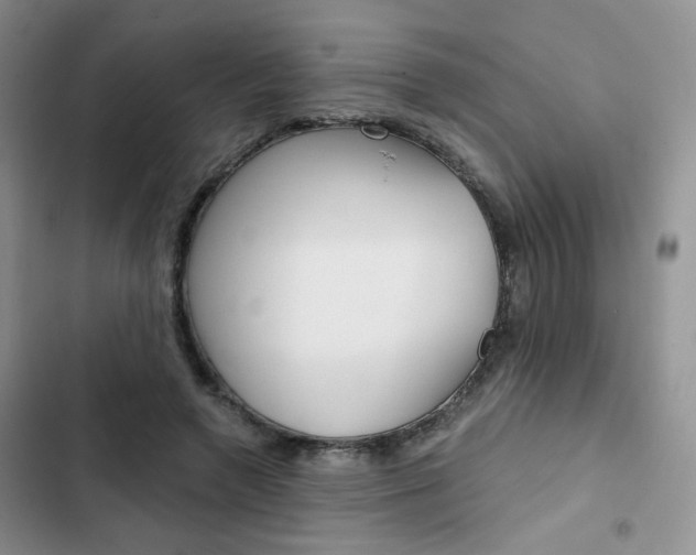 X0000102820546200808181027