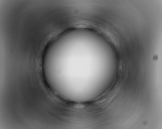 X0000102820547200808181027