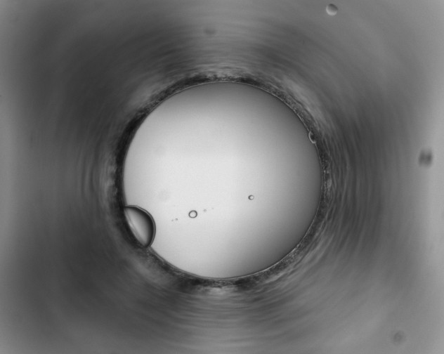 X0000102820548200808181027