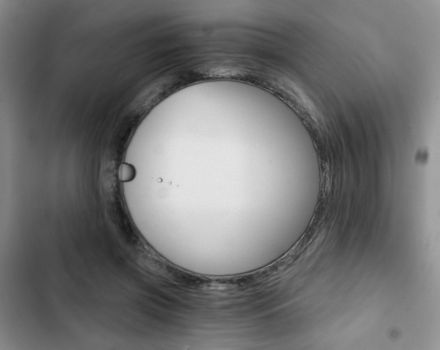 X0000102820549200808181027