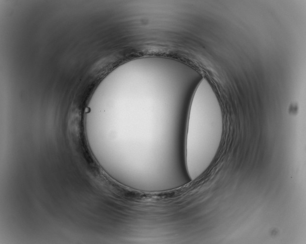 X0000102820550200808181027