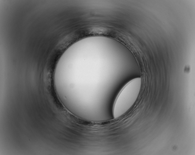 X0000102820551200808181027
