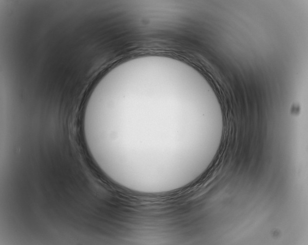 X0000102820552200808181027