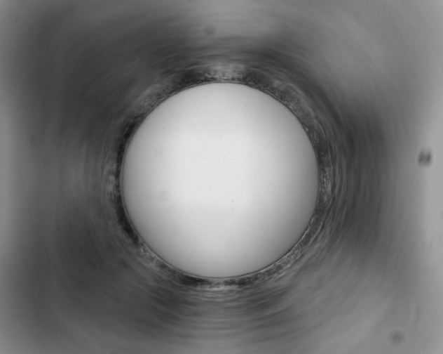 X0000102820553200808181027