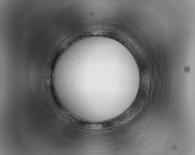 X0000102820554200808181027