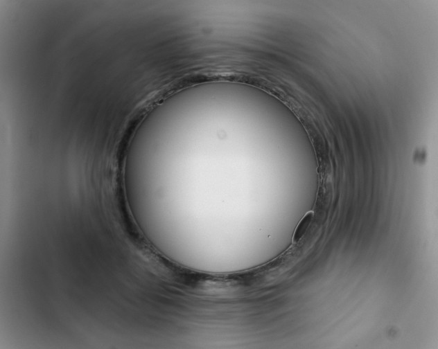 X0000102820556200808181027