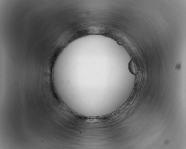 X0000102820557200808181027