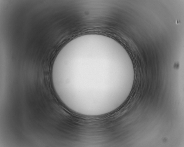 X0000102820558200808181027