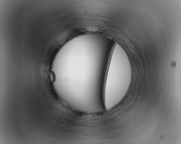 X0000102820559200808181027
