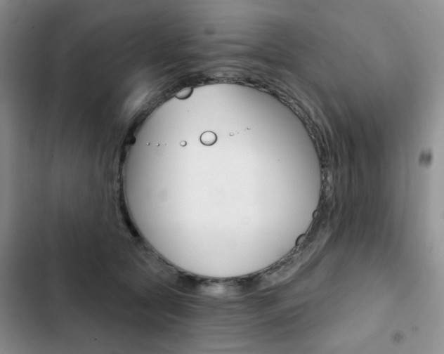 X0000102820561200808181027