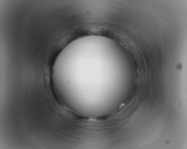 X0000102820562200808181027