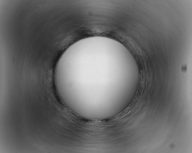 X0000102820563200808181027