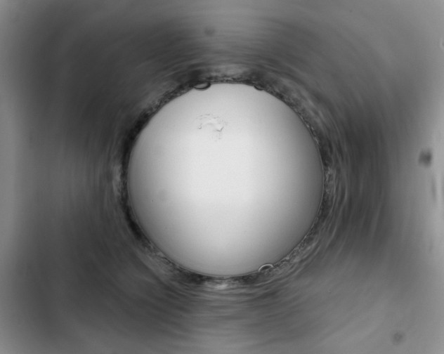 X0000102820564200808181027