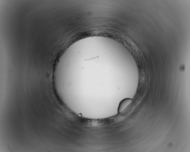 X0000102820565200808181027
