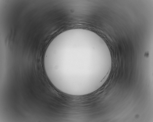 X0000102820566200808181027